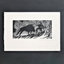 The Boar of Ben Gulbain Screenprint by David Rooney Unframed