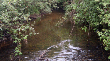 The Ballinderry River