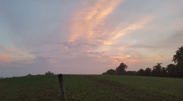 The Summer Solstice