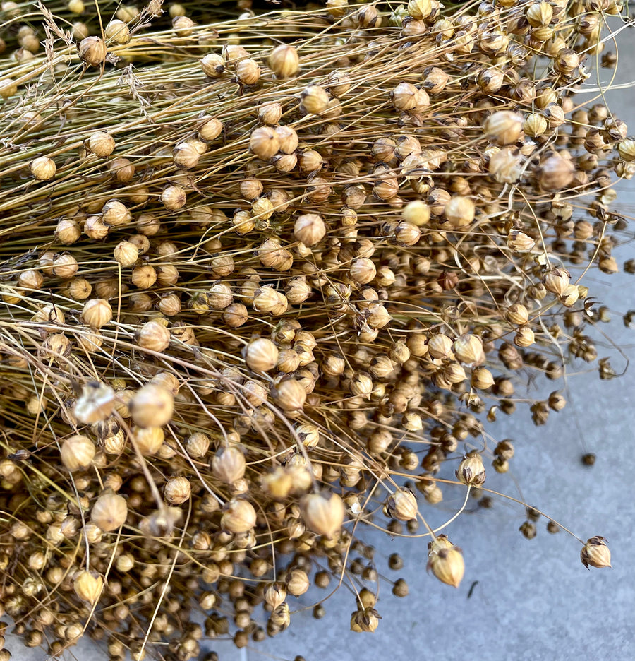 Dried flax bundles