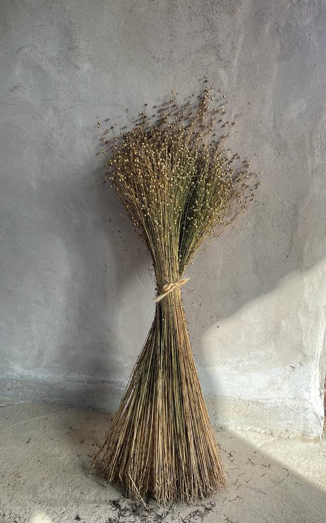 Dried flax bundles - Mallon Ireland
