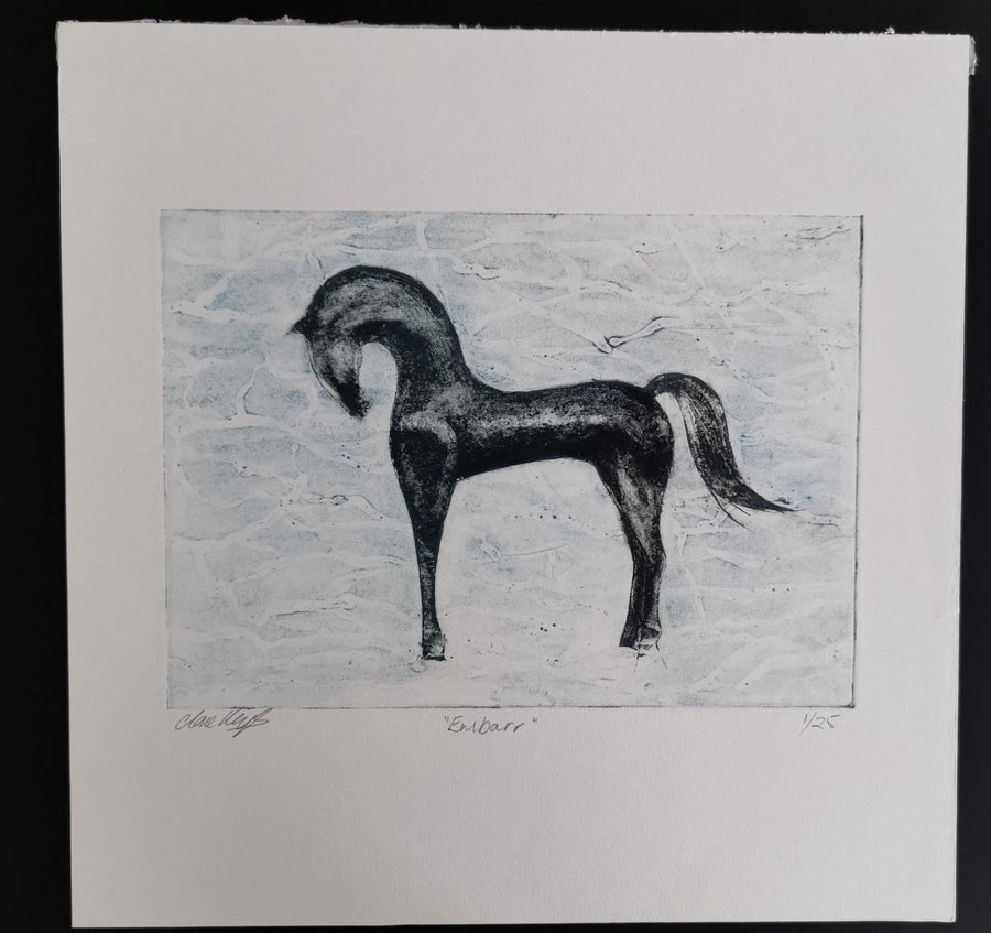 Embarr the Horse Print - Mallon Ireland