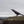 Fiacc the raven - Mallon Ireland
