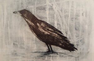 Fiacc the Raven Print - Mallon Ireland