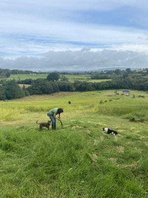 Good Flax Tow Fibre - Mallon Ireland