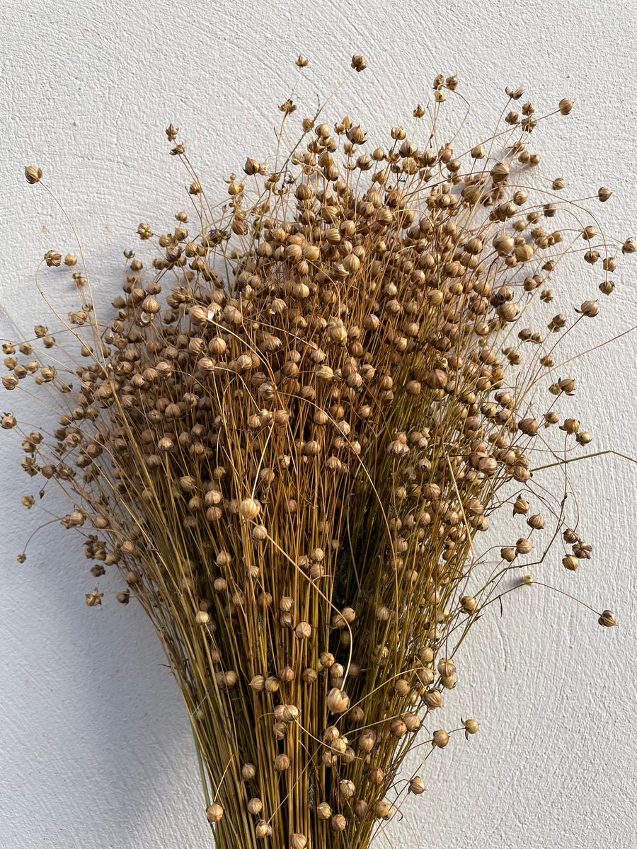 Dried flax bundles