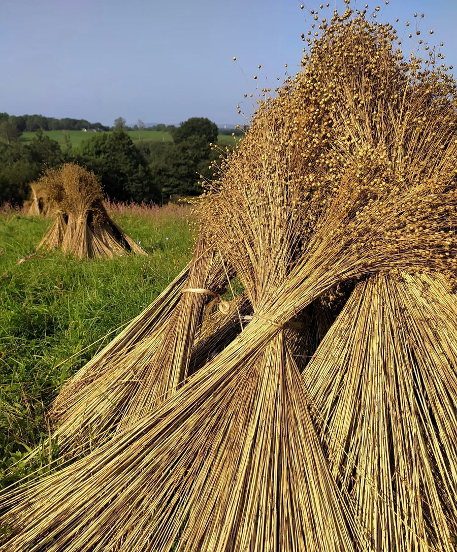 Rough Flax Tow Fibre 1kg - Mallon Ireland
